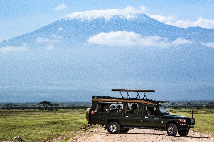 Safari & Wildlife Tours